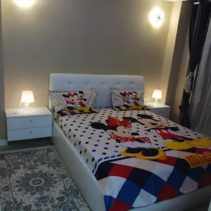 Myky Mouse Nu Primesc Santieristi Si Petrecareti Apartamento